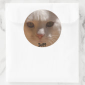 Kokosnoot de kat—SUP? Ronde Sticker (Tas)