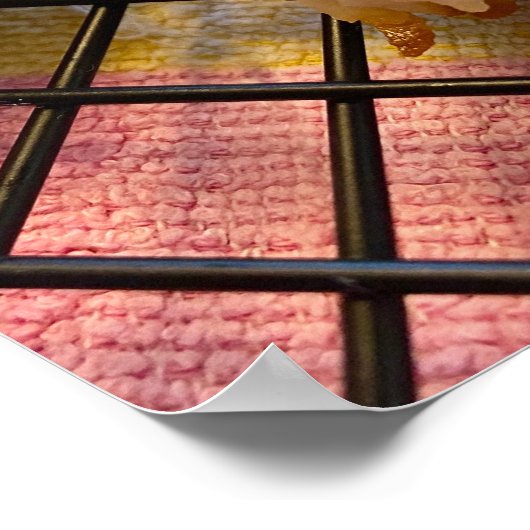 Kokosnoot en Cherry Macaroons Poster (Hoek)