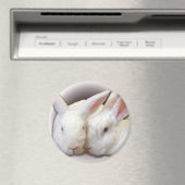 Kokosnoot en Frosty Rescue Buns Magneet (Insitu (Vaatwasser))