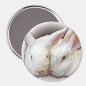 Kokosnoot en Frosty Rescue Buns Magneet (Voorkant / Achterkant)