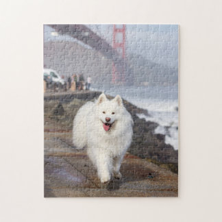 Kokosnoot - Golden Gate Bridge Legpuzzel