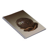 Kokosnoot in een gezicht gesculpeerd, c.1895 notitieboek (Rechterzijde)