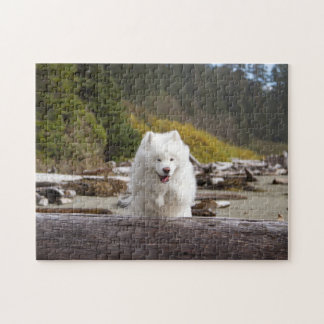 Kokosnoot Log Puzzel Legpuzzel