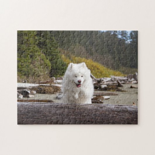 Kokosnoot Log Puzzel Legpuzzel (Horizontaal)