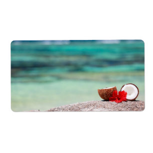 Kokosnoot met tropische bloem aan de exotische kus etiket