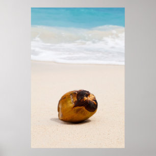 Kokosnoot op een tropisch strand poster