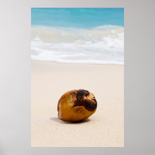 Kokosnoot op een tropisch strand poster (Voorkant)