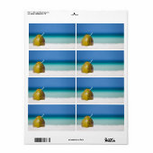 Kokosnoot op het strand etiket (Full Sheet)