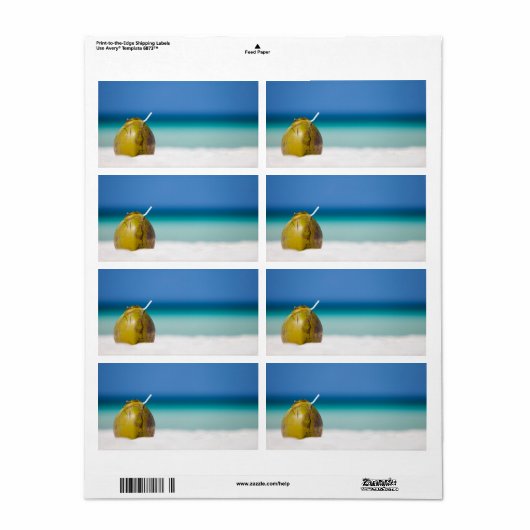 Kokosnoot op het strand etiket (Full Sheet)