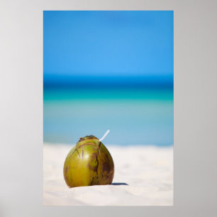 Kokosnoot op het strand poster
