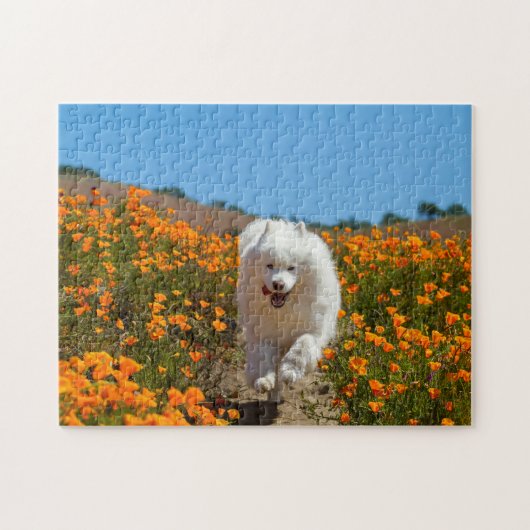 Kokosnoot papavers puzzel (Horizontaal)