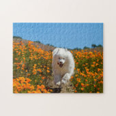 Kokosnoot papavers puzzel legpuzzel (Horizontaal)