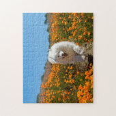 Kokosnoot papavers puzzel legpuzzel (Verticaal)