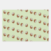 Kokosnoot plakjes patroon op groen inpakpapier vel (Voorkant)