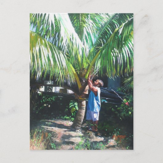 Kokosnoot Shade 2014 Briefkaart (Voorkant)