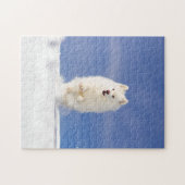 Kokosnoot - Sneeuwbeer Legpuzzel (Horizontaal)