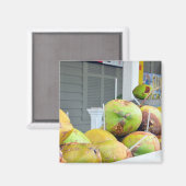 Kokosnoot Water Key West FL Kokosnoten Magneet (Voorkant / Achterkant)