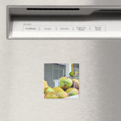 Kokosnoot Water Key West FL Kokosnoten Magneet (Insitu (Vaatwasser))