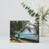 Kokosnootbomen, Rocky Coast Pacific Beach Waves Briefkaart (Staand voorkant)