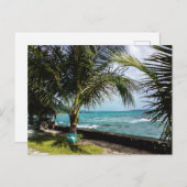 Kokosnootbomen, Rocky Coast Pacific Beach Waves Briefkaart (Voorkant / Achterkant)