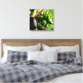 Kokosnoten ~ Canvas Kunst ~ Trinidad (Insitu (Slaapkamer))