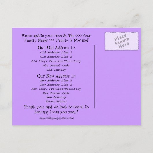 Kokosnoten in de wind; adreswijziging aankondigingskaart (Achterkant)