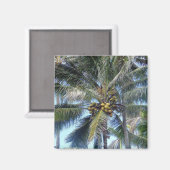 Kokospalm Oahu Magneet (Voorkant / Achterkant)