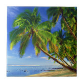Kokospalm Tree Sandy Tropical Island Beach Tegeltje (Voorkant)