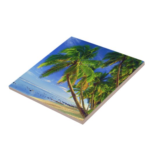 Kokospalm Tree Sandy Tropical Island Beach Tegeltje (Zijkant)