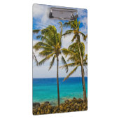 Kokospalmbomen (Cocos nucifera) die in Klembord (Rechts)