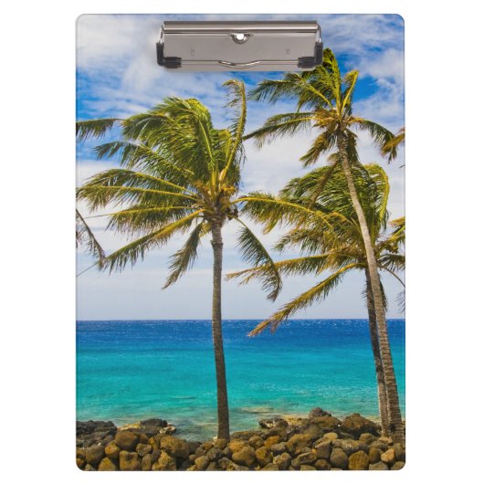 Kokospalmbomen (Cocos nucifera) die in Klembord (Voorkant)