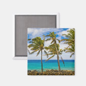 Kokospalmbomen (Cocos nucifera) die in Magneet (Voorkant / Achterkant)