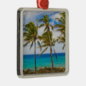 Kokospalmbomen (Cocos nucifera) die in Metalen Ornament (Rechts)