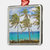 Kokospalmbomen (Cocos nucifera) die in Metalen Ornament (Links)