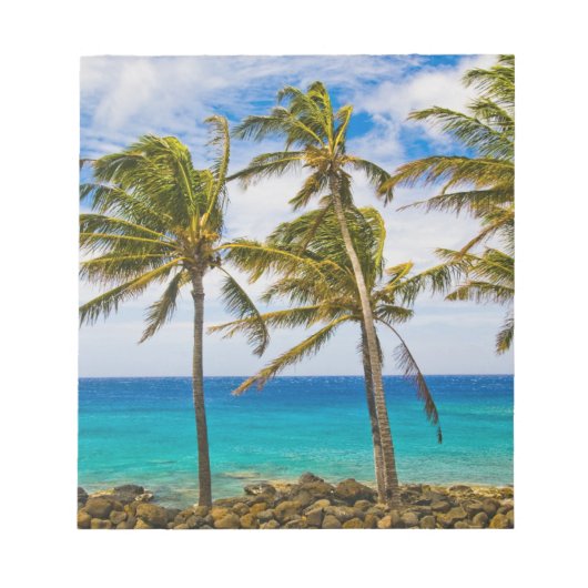 Kokospalmbomen (Cocos nucifera) die in Notitieblok (Voorkant)