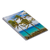 Kokospalmbomen (Cocos nucifera) die in Notitieboek (Rechterzijde)