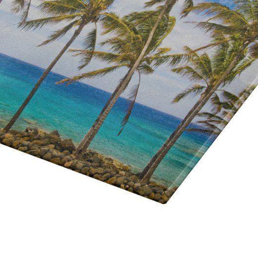 Kokospalmbomen (Cocos nucifera) die in Snijplank (Hoek)