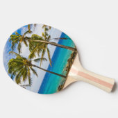 Kokospalmbomen (Cocos nucifera) die in Tafeltennisbatje (Zijkant)