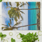 Kokospalmbomen (Cocos nucifera) die in Theedoek (Gevouwen)