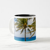 Kokospalmbomen (Cocos nucifera) die in Tweekleurige Koffiemok (Voorkant links)