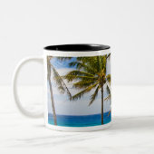 Kokospalmbomen (Cocos nucifera) die in Tweekleurige Koffiemok (Links)