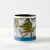 Kokospalmbomen (Cocos nucifera) die in Tweekleurige Koffiemok (Center)