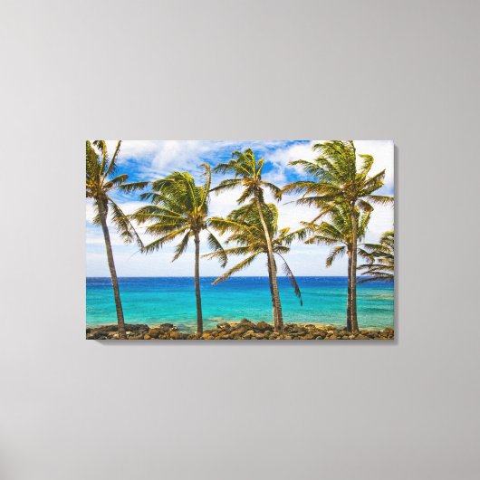 Kokospalmbomen (Cocos nucifera) wiegen in Canvas Afdruk (Voorkant)