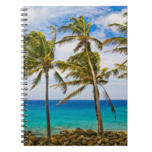 Kokospalmbomen (Cocos nucifera) wiegen in Notitieboek