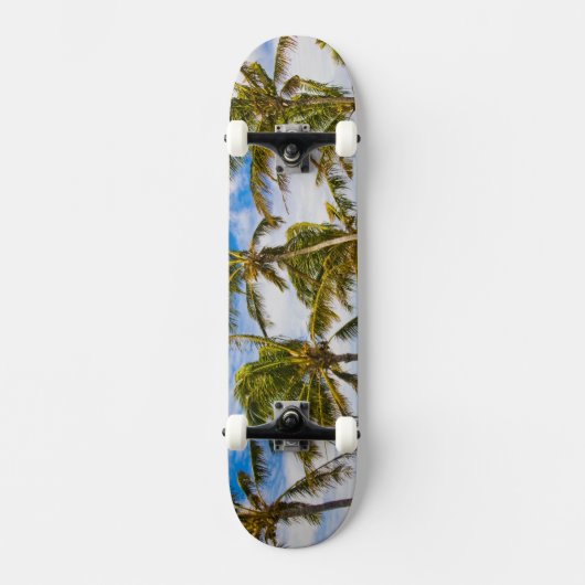 Kokospalmbomen (Cocos nucifera) wiegen in Persoonlijk Skateboard (Voorkant)
