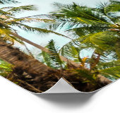 Kokospalmbomen filter. poster (Hoek)