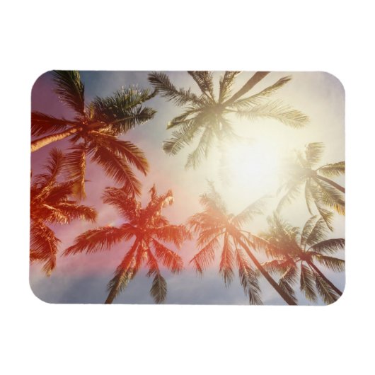 Kokospalmbomen tegen de zon magneet (Horizontaal)
