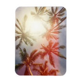 Kokospalmbomen tegen de zon magneet (Verticaal)
