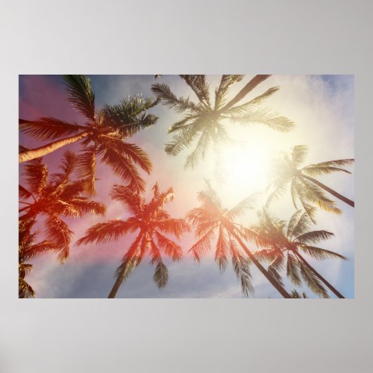 Kokospalmbomen tegen de zon poster (Voorkant)