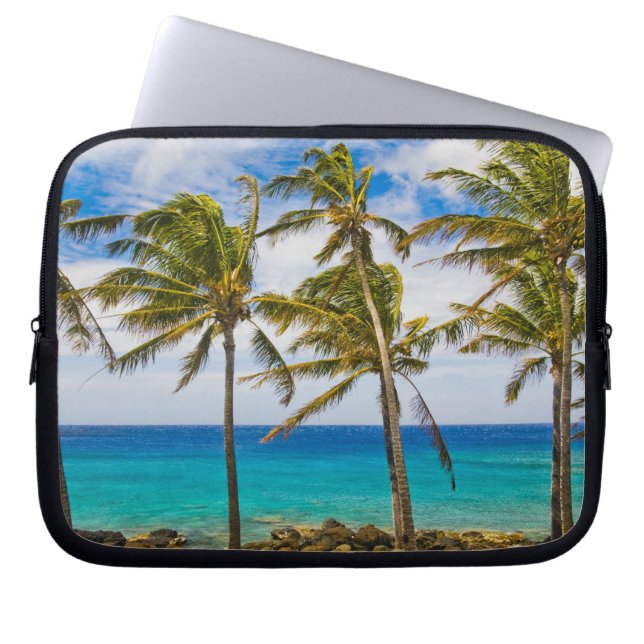 Kokospalmboom (Cocos nucifera) wiegend in Laptop Sleeve (Voorkant)